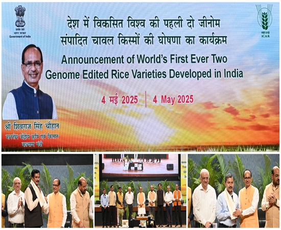 Rice varities