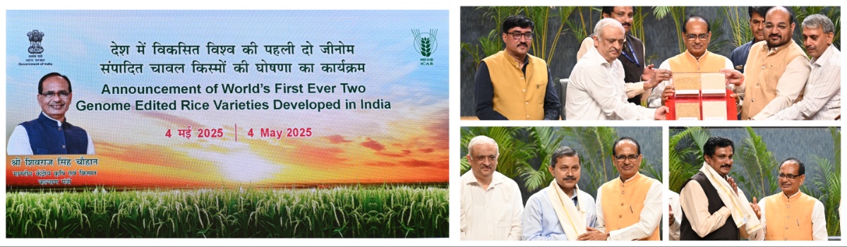 Welcome to ICAR-Indian Agricultural Research Institute