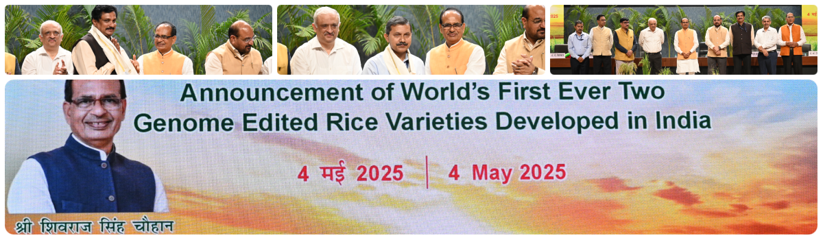 Welcome to ICAR-Indian Agricultural Research Institute