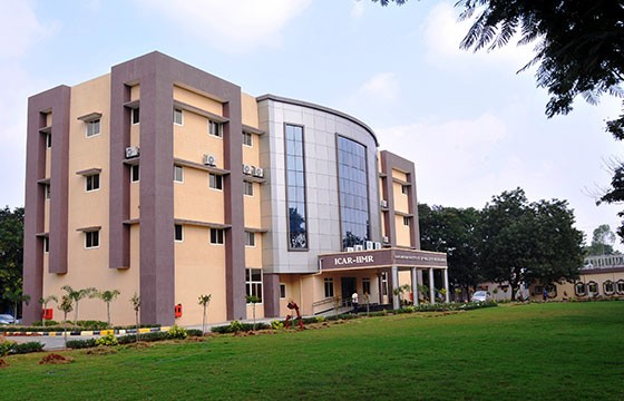 IIMR