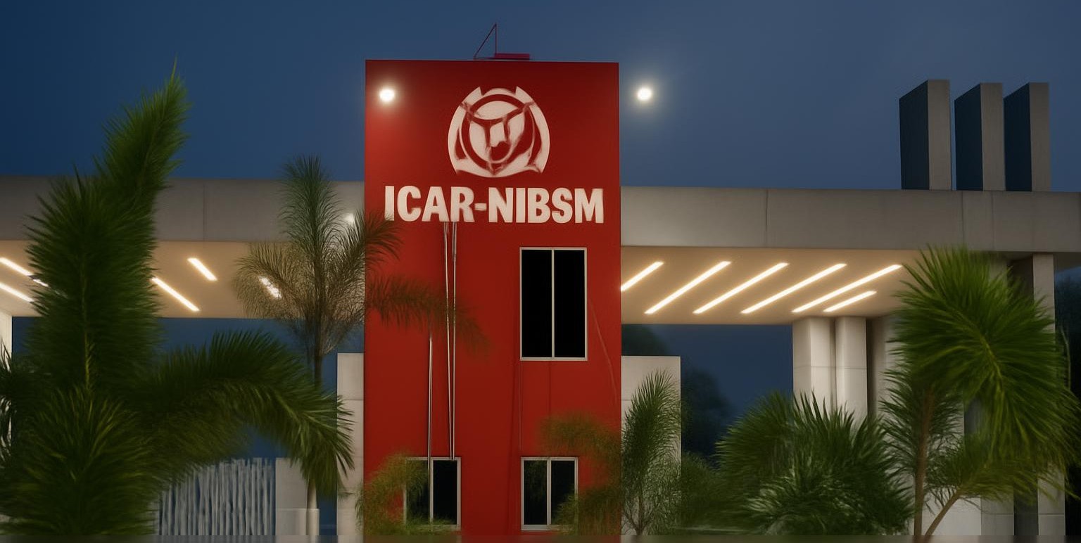 NIBSM