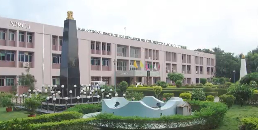 NIRCA